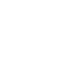 Icon for PHYSICAL ACTIVITIES AND SPORTS